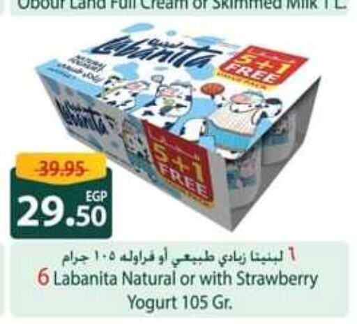  Yoghurt  in Spinneys  in Egypt - Cairo