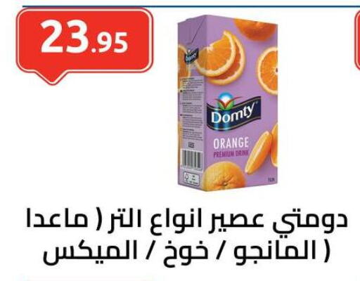 DOMTY   in الهواري in Egypt - القاهرة