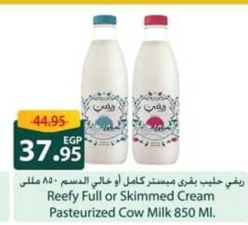  Full Cream Milk  in Spinneys  in Egypt - Cairo