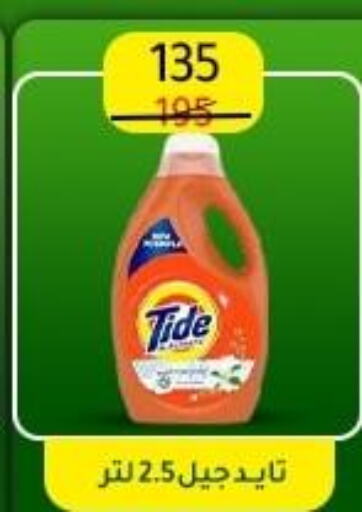 TIDE Detergent  in Wekalet Elmansoura - Dakahlia  in Egypt - Cairo