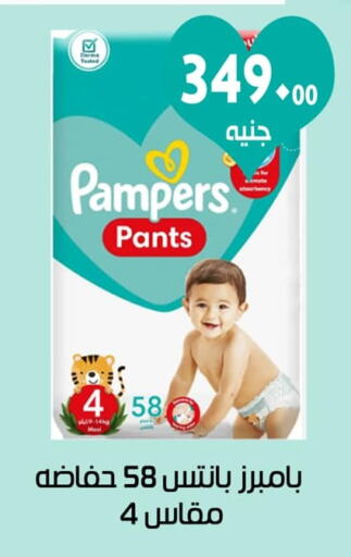 Pampers   in عرفة ماركت in Egypt - القاهرة