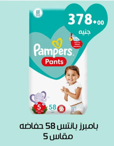 Pampers   in عرفة ماركت in Egypt - القاهرة