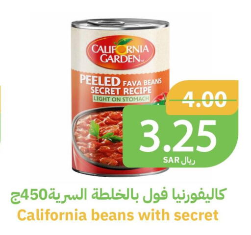 CALIFORNIA GARDEN Fava Beans  in أسواق قاطبة in مملكة العربية السعودية, السعودية, سعودية - بريدة