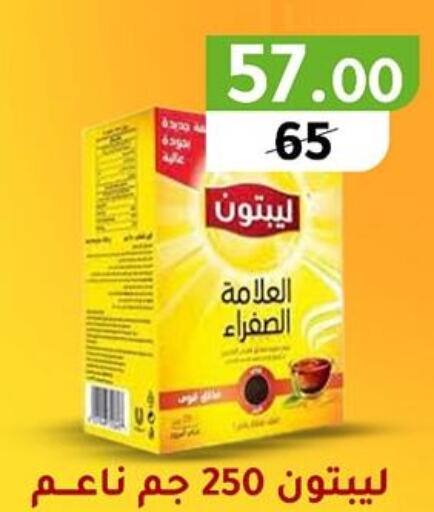 Lipton Tea Powder  in وكالة المنصورة - الدقهلية‎ in Egypt - القاهرة