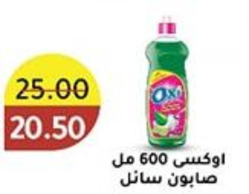 OXI Bleach  in Wekalet Elmansoura - Dakahlia  in Egypt - Cairo