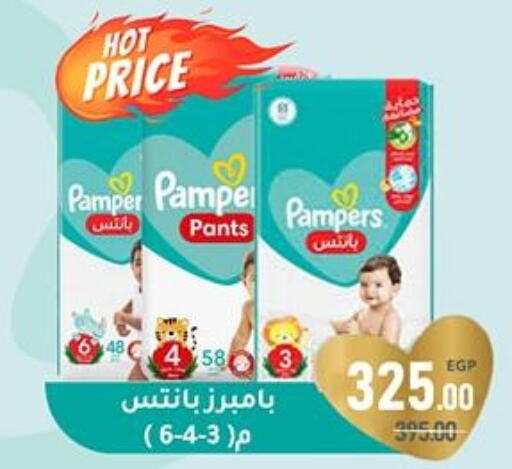 Pampers   in وكالة المنصورة - الدقهلية‎ in Egypt - القاهرة