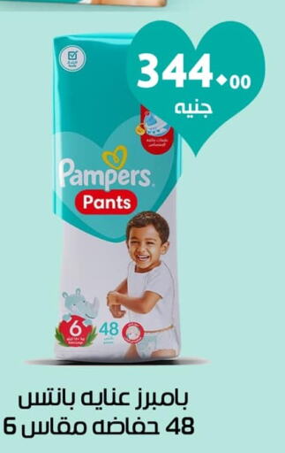 Pampers   in عرفة ماركت in Egypt - القاهرة