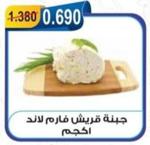    in جمعية العقيلة التعاونية in الكويت - محافظة الأحمدي