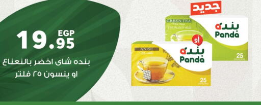 PANDA Green Tea  in Panda  in Egypt - Cairo