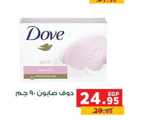 DOVE   in Panda  in Egypt - Cairo