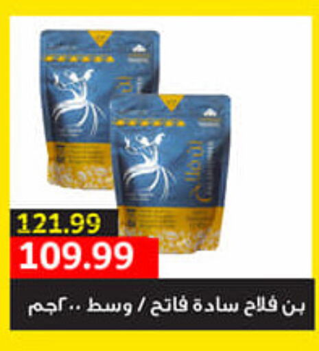  Tea Powder  in السلطان هايبرماركت in Egypt - القاهرة