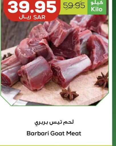  Mutton / Lamb  in Astra Markets in KSA, Saudi Arabia, Saudi - Tabuk