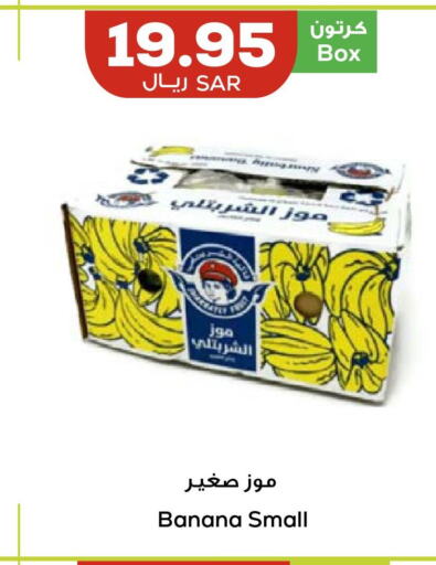  Banana  in أسواق أسترا in مملكة العربية السعودية, السعودية, سعودية - تبوك