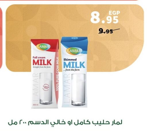  Full Cream Milk  in بنده in Egypt - القاهرة