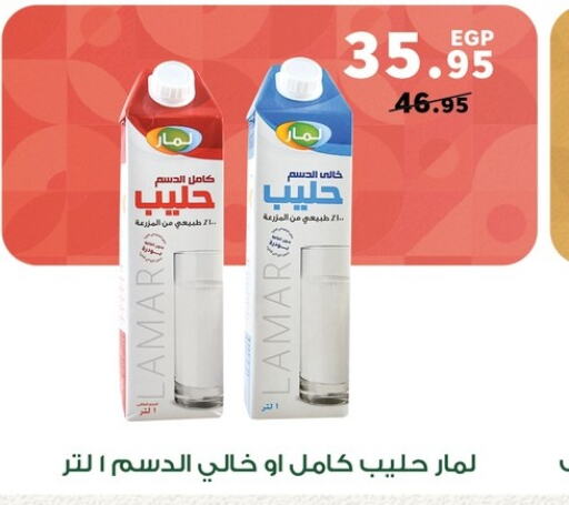  Long Life / UHT Milk  in Panda  in Egypt - Cairo