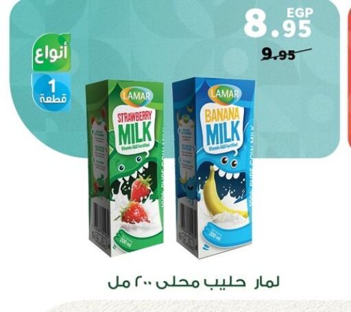  Flavoured Milk  in Panda  in Egypt - Cairo