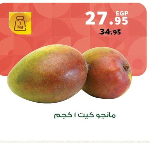 Mango Mangoes  in Panda  in Egypt - Cairo