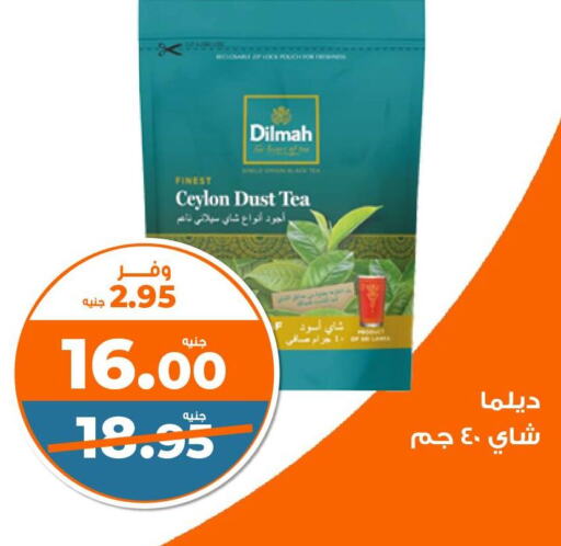 DILMAH Tea Powder  in كازيون in Egypt - القاهرة