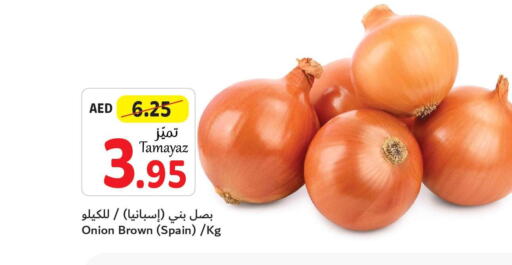  Onion  in تعاونية الاتحاد in الإمارات العربية المتحدة , الامارات - الشارقة / عجمان