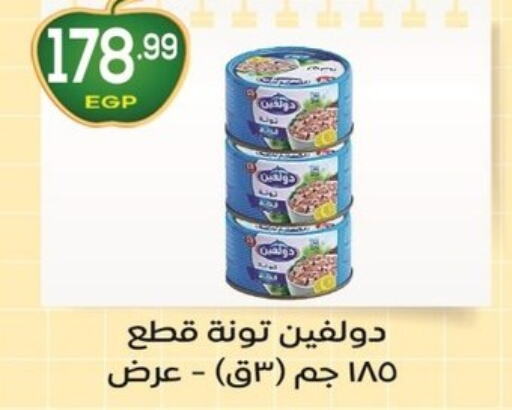  Tuna - Canned  in أولاد المحاوى in Egypt - القاهرة