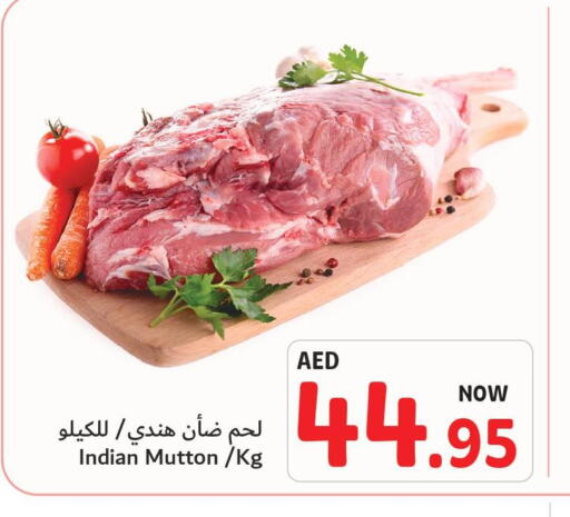  Mutton / Lamb  in Umm Al Quwain Coop in UAE - Umm al Quwain