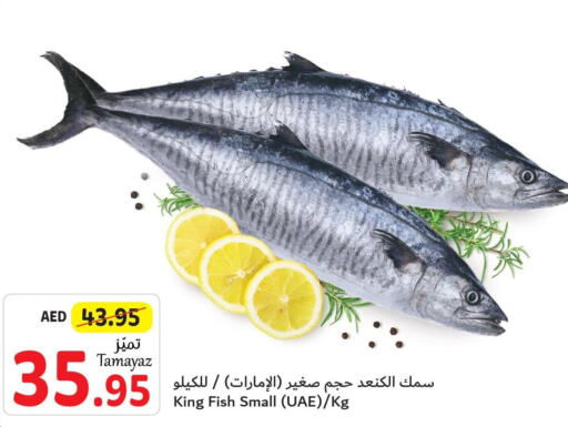  King Fish  in تعاونية الاتحاد in الإمارات العربية المتحدة , الامارات - أبو ظبي