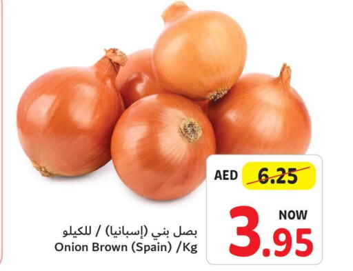  Onion  in تعاونية أم القيوين in الإمارات العربية المتحدة , الامارات - الشارقة / عجمان