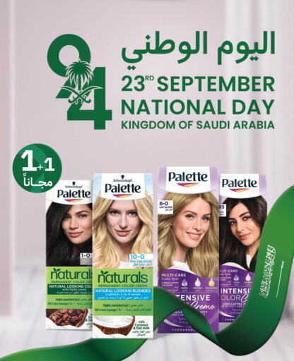 PALETTE Hair Colour  in Innova Health Care in KSA, Saudi Arabia, Saudi - Yanbu