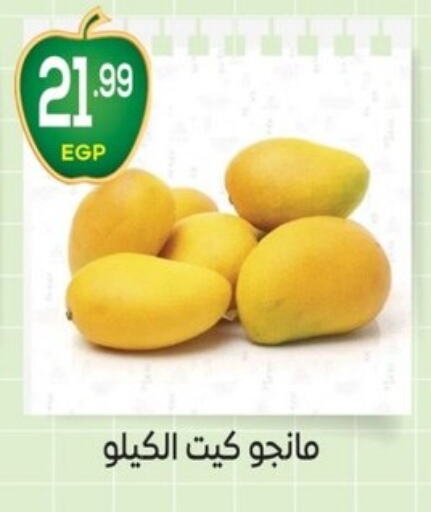  Mangoes  in El mhallawy Sons in Egypt - Cairo