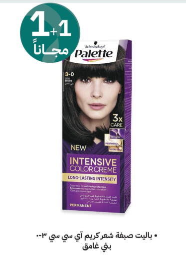 PALETTE Hair Colour  in Innova Health Care in KSA, Saudi Arabia, Saudi - Rafha