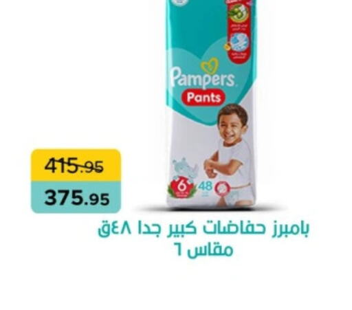 Pampers   in بيك مارت in Egypt - القاهرة