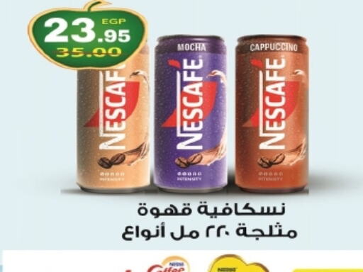 NESCAFE Coffee  in بشاير هايبرماركت in Egypt - القاهرة