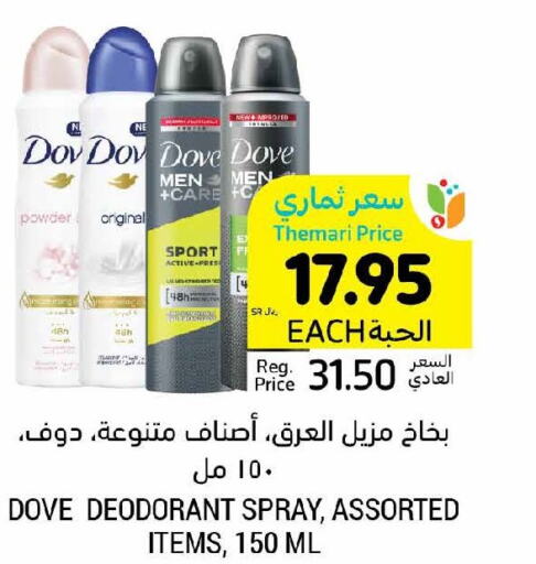 DOVE   in Tamimi Market in KSA, Saudi Arabia, Saudi - Jubail