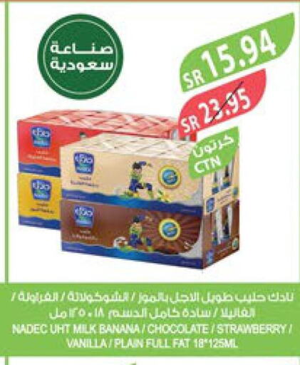 NADEC Long Life / UHT Milk  in Farm  in KSA, Saudi Arabia, Saudi - Najran