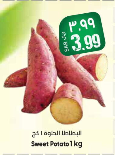  Sweet Potato  in ستي فلاور in مملكة العربية السعودية, السعودية, سعودية - حائل‎