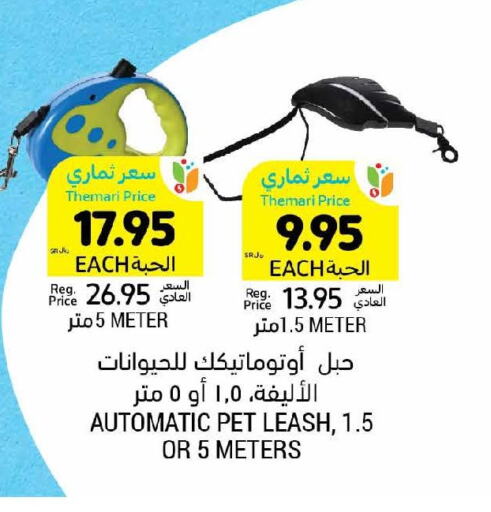    in أسواق التميمي in مملكة العربية السعودية, السعودية, سعودية - تبوك