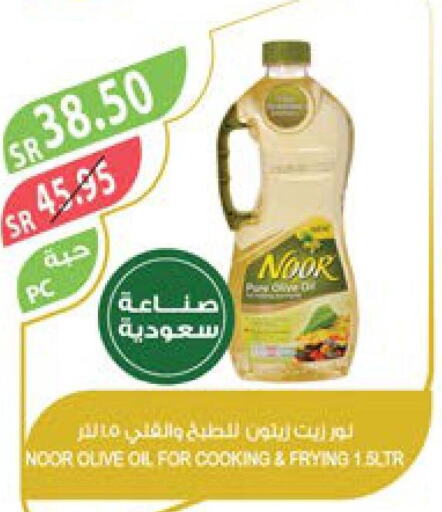 NOOR Olive Oil  in Farm  in KSA, Saudi Arabia, Saudi - Yanbu