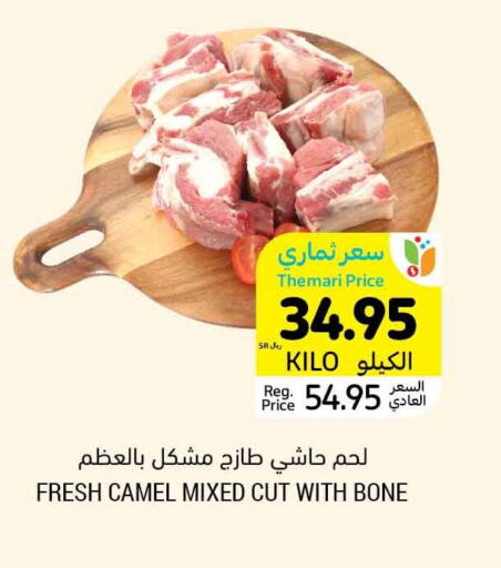  Camel meat  in Tamimi Market in KSA, Saudi Arabia, Saudi - Medina