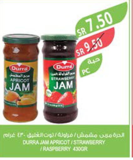 DURRA Jam  in Farm  in KSA, Saudi Arabia, Saudi - Tabuk