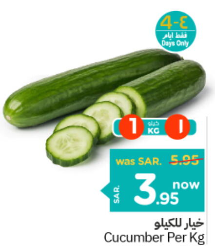  Cucumber  in نستو in مملكة العربية السعودية, السعودية, سعودية - الخبر‎