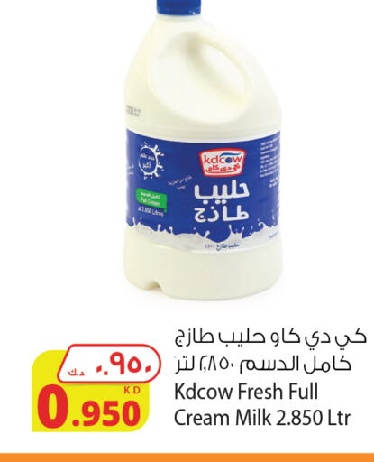 KD COW Full Cream Milk  in شركة المنتجات الزراعية الغذائية in الكويت - محافظة الجهراء