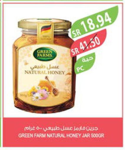  Honey  in Farm  in KSA, Saudi Arabia, Saudi - Jeddah