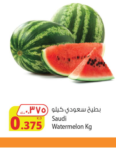  Watermelon  in شركة المنتجات الزراعية الغذائية in الكويت - مدينة الكويت