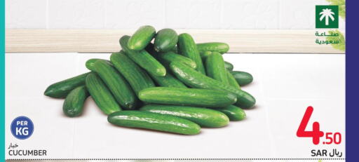  Cucumber  in كارفور in مملكة العربية السعودية, السعودية, سعودية - الخبر‎