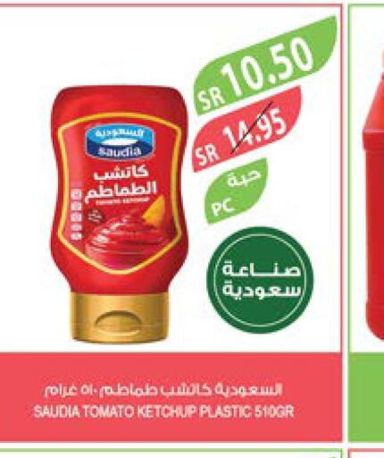 SAUDIA Tomato Ketchup  in Farm  in KSA, Saudi Arabia, Saudi - Khafji