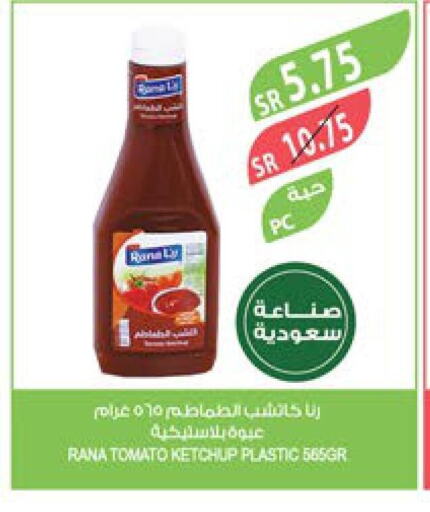  Tomato Ketchup  in Farm  in KSA, Saudi Arabia, Saudi - Khafji