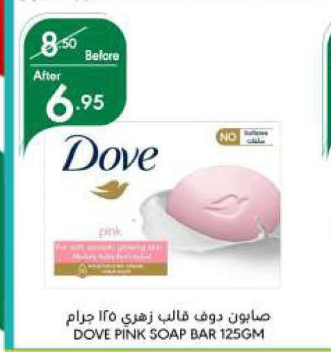 DOVE   in Manuel Market in KSA, Saudi Arabia, Saudi - Jeddah