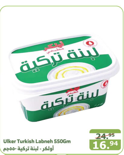  Labneh  in Al Raya in KSA, Saudi Arabia, Saudi - Abha