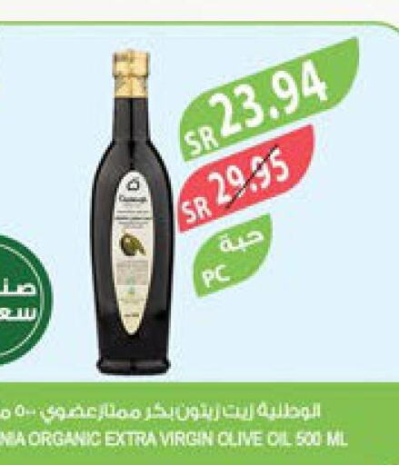  Virgin Olive Oil  in Farm  in KSA, Saudi Arabia, Saudi - Sakaka