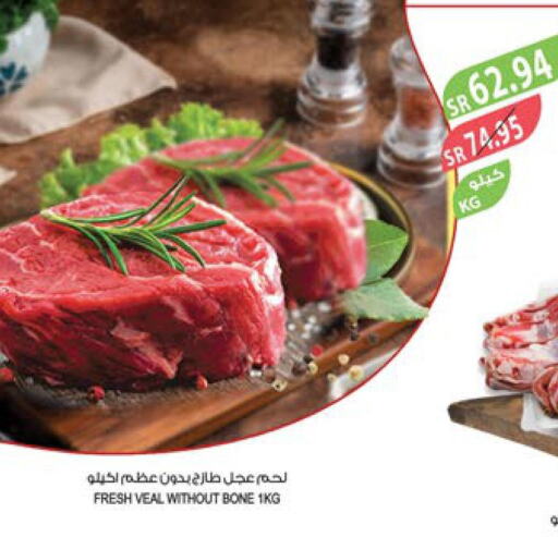  Veal  in Farm  in KSA, Saudi Arabia, Saudi - Al Bahah